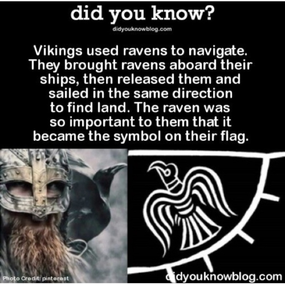 $2 RAVEN PIN/BROOCH. ENAMEL/METAL. NEW. $2 WITH ANY $10 ORDER OR MORE - Picture 6 of 16